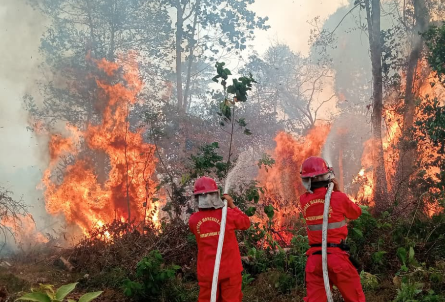 Kabut Asap Karhutla, 3.524 Sekolah di Kalimantan Terapkan PJJ